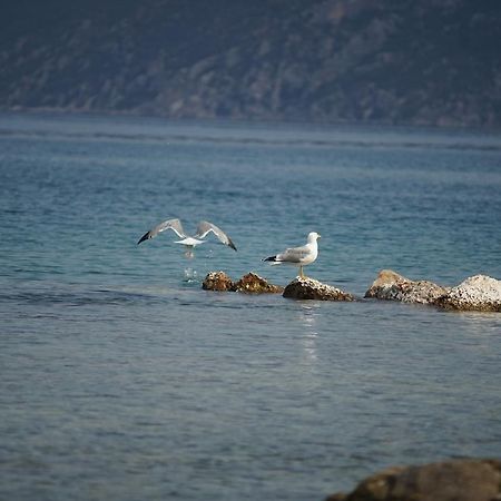 Belvedere Suites Kórfosz Kültér fotó